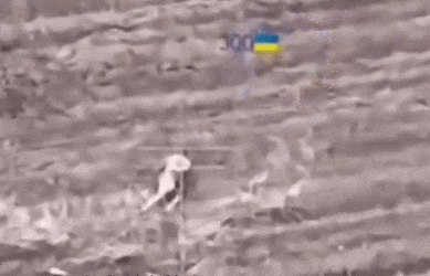 皇冠信用网会员_数十名俄军吞枪自杀皇冠信用网会员，多名女兵被炸死！用枪爆头会有痛苦吗？