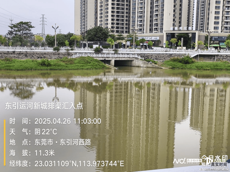 皇冠信用网开户_东莞寒溪河出现大片死鱼皇冠信用网开户！官方回应：天气原因