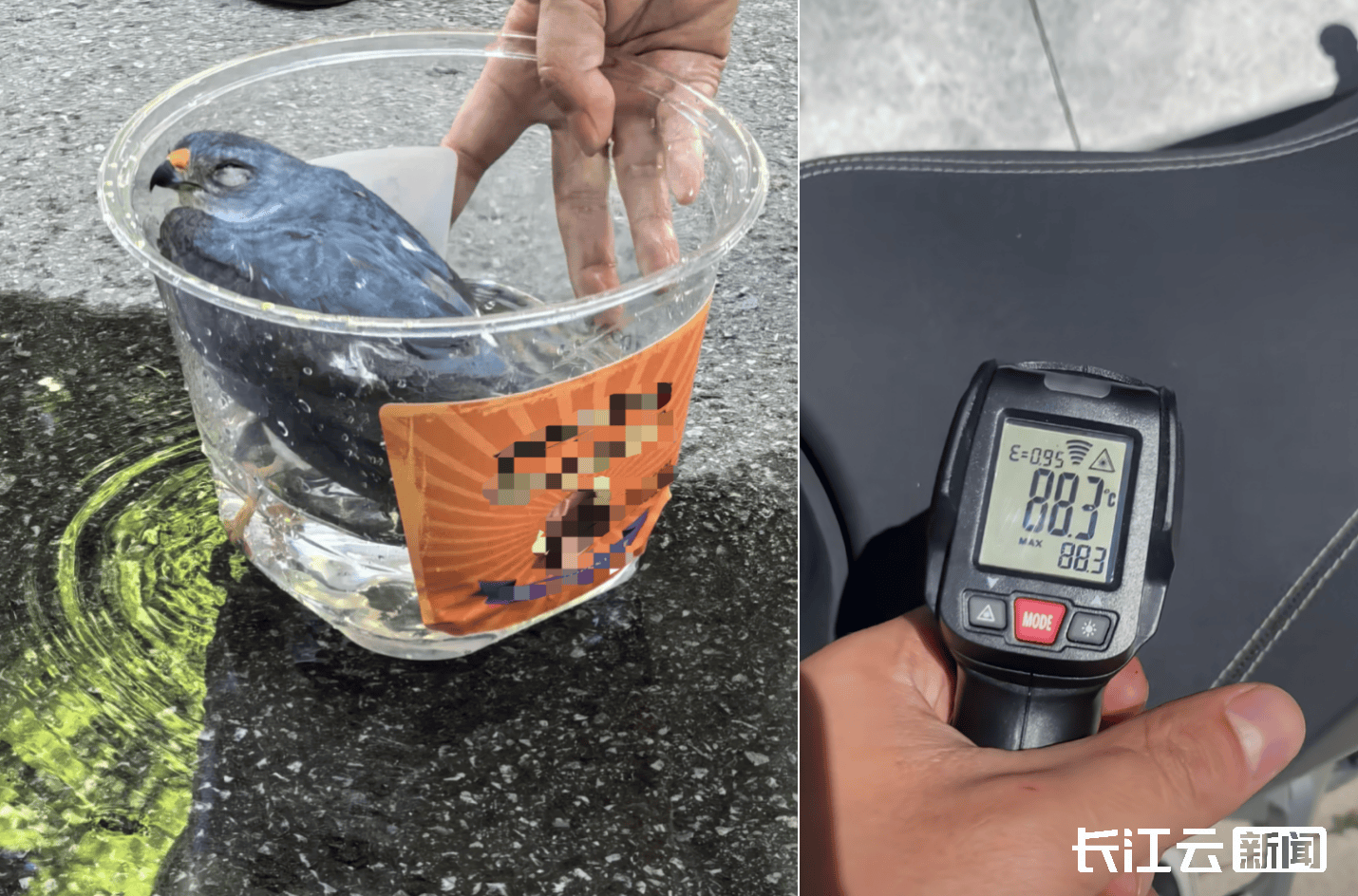 皇冠皇冠信用平台_最高39.5℃皇冠皇冠信用平台！湖北未入伏为何这么热？降雨就在……