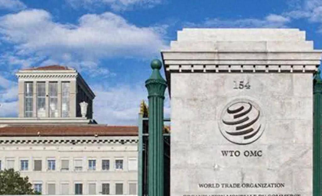 皇冠信用网登3出租
_加拿大自食苦果皇冠信用网登3出租
，全球160多个国家收到中方通知，加拿大政府后悔也来不及了