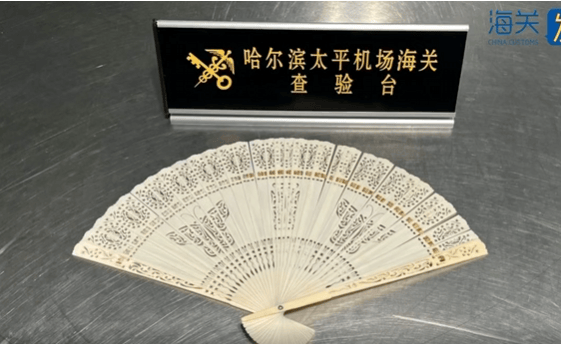 皇冠信用網代理
_一旅客因一把“漂亮折扇”在哈尔滨机场被查！经鉴定：非洲象象牙制品皇冠信用網代理
，净重61.7克