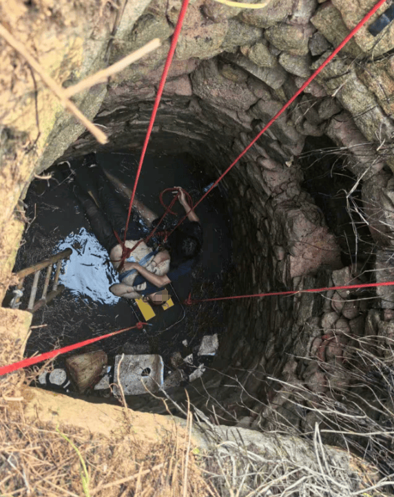 怎么申请皇冠信用網_多条蛇缠身怎么申请皇冠信用網，女子被咬了也不敢动！深井内苦撑54小时后……