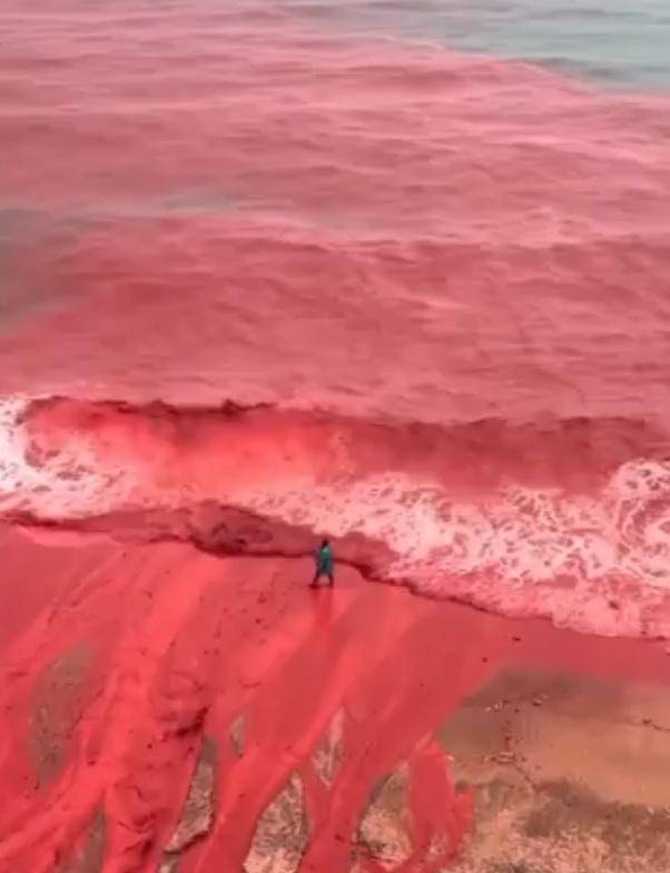皇冠信用网会员账号_罕见！伊朗霍尔木兹岛遭遇强降雨皇冠信用网会员账号，部分海域变成“血色海洋”